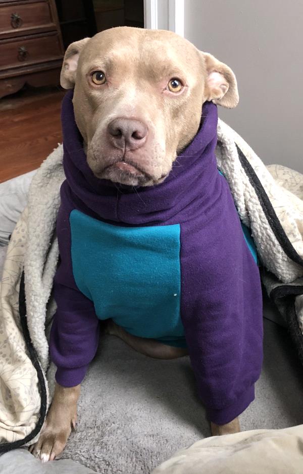 /Images/uploads/Humane Rescue Alliance/HRACalendarPhotoContest/entries/8417thumb.jpg